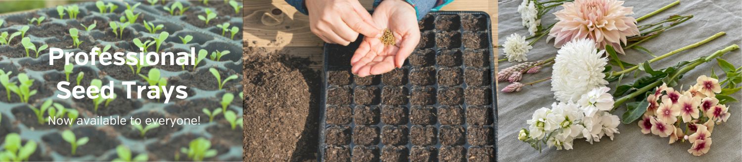 Seed trays