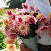 Summer mix
