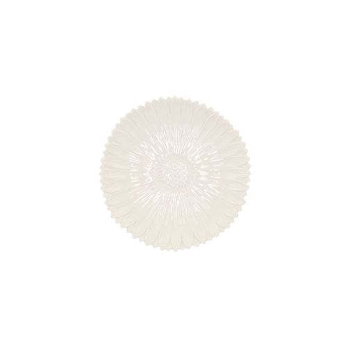 Daisy White M