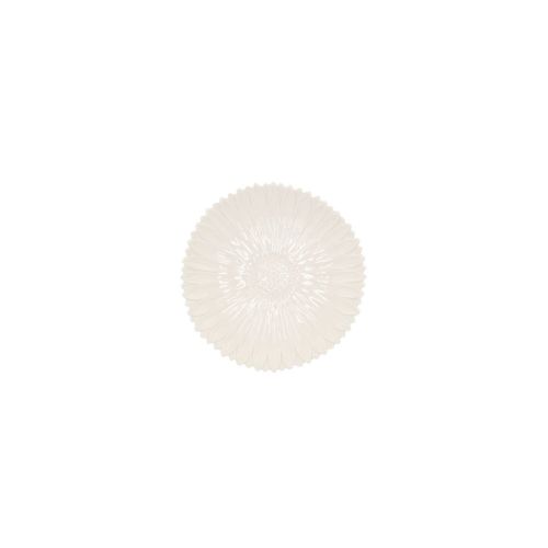 Daisy White S