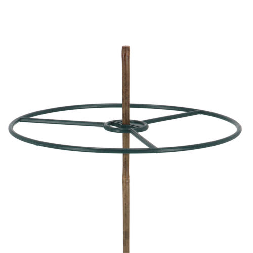 Plant ring bamboo sticks set of 2