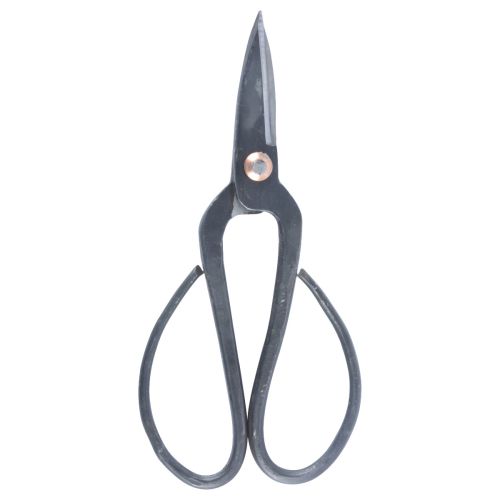 Hand scissors black