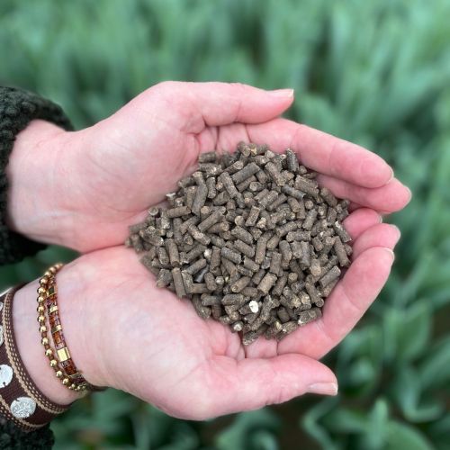 Organic fertiliser