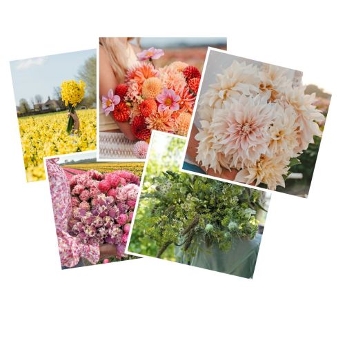Set of 5 luxury greeting cards + envelopes