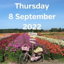 Visit dahlia fields 8 September 2022