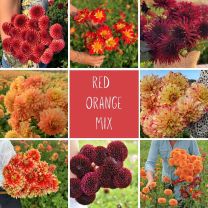 Mix Orange Red