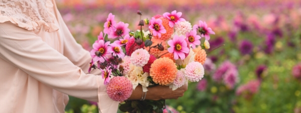 plukbloemen uit eigen tuin