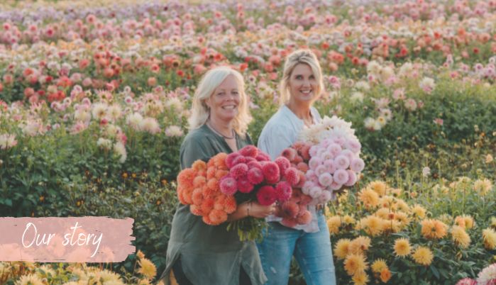 Our Story - Marlies & Linda - FAM Flower Farm