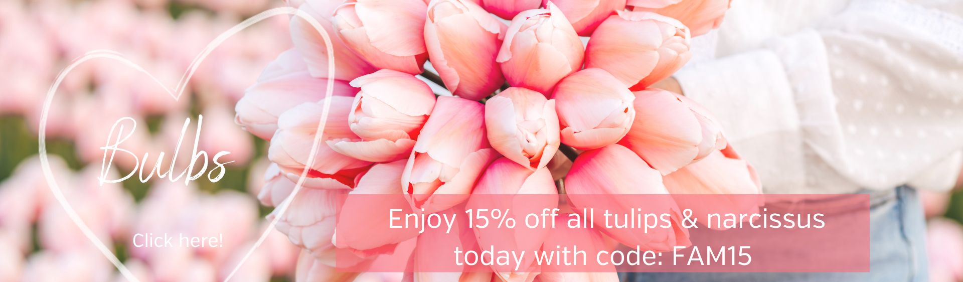 Flower bulbs, dahlias & seeds directly from our farm